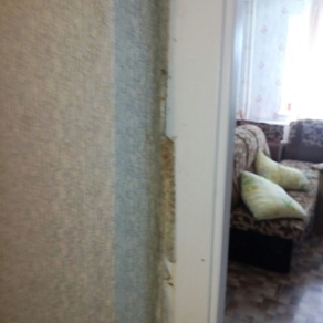 Уничтожение клопов в квартире с гарантией Хабаровск
