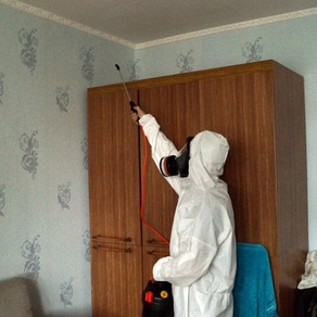 Борьба с клопами в домашних условиях – Хабаровск