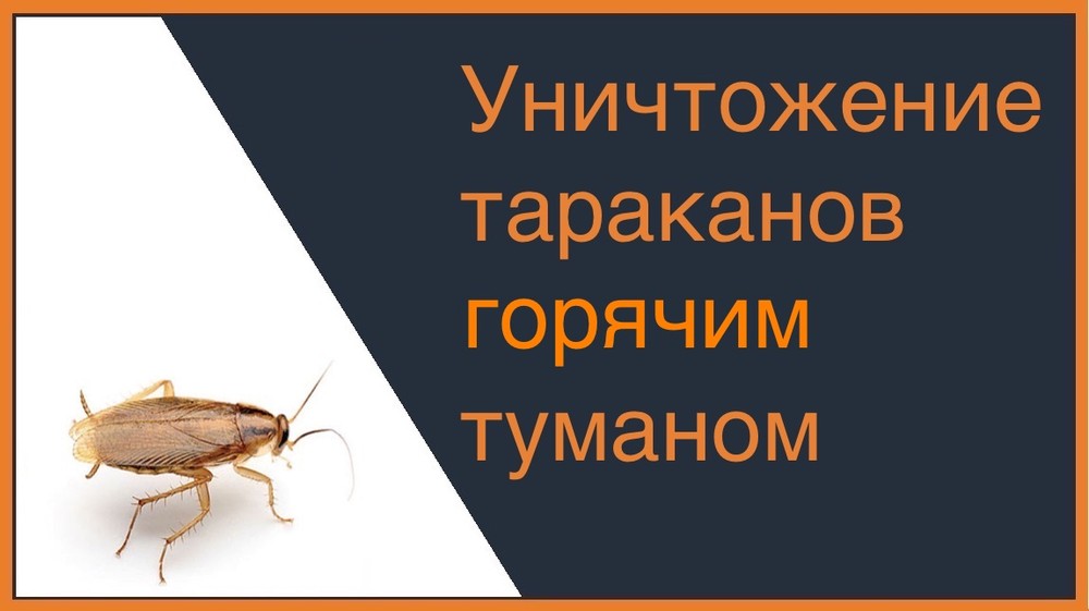 Уничтожение тараканов горячим туманом в Хабаровске