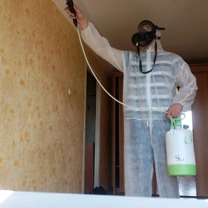 Уничтожение тараканов в квартире – цена в Хабаровске