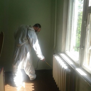 Уничтожить тараканов в квартире в Хабаровске