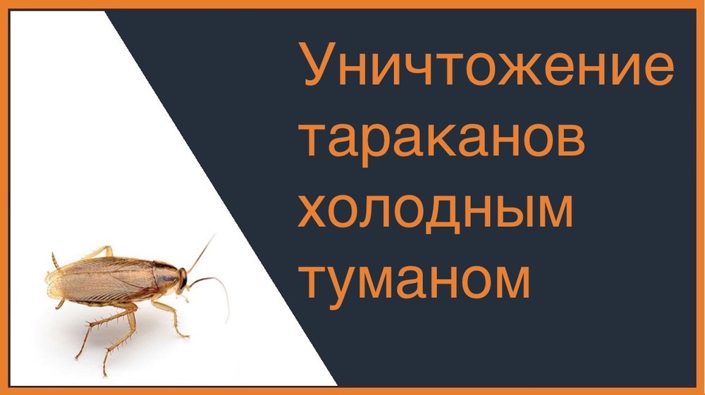 Уничтожение тараканов холодным туманом в Хабаровске