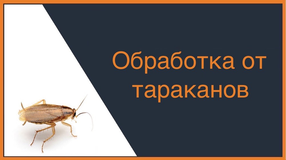 Обработка от тараканов в Хабаровске